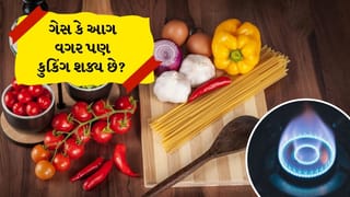 No Fire Cooking: LPGની અછત વચ્ચે ગેસ કે આગ વગર પણ કુકિંગ શક્ય છે! જાણો રસોઈ બનાવવાની આ અનોખી ટ્રિક્સ