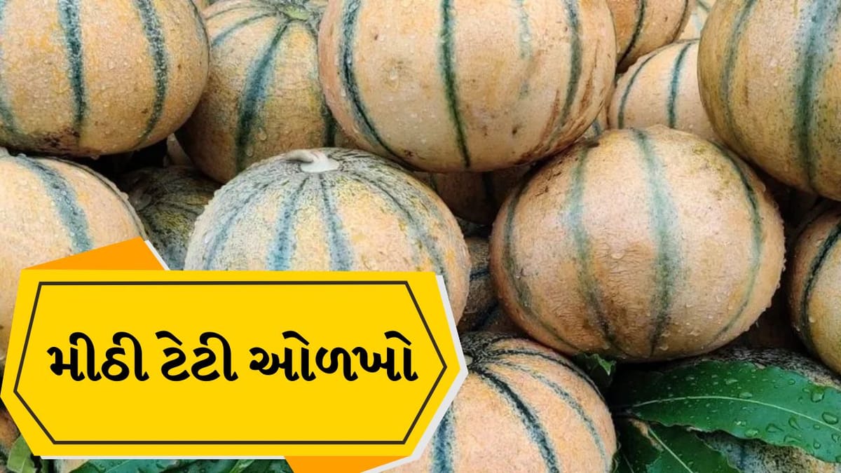 ટેટી મીઠી છે કે નહીં... ખરીદતી વખતે નક્કી કરવા માટે આ 5 સરળ રીતનો ઉપયોગ કરો