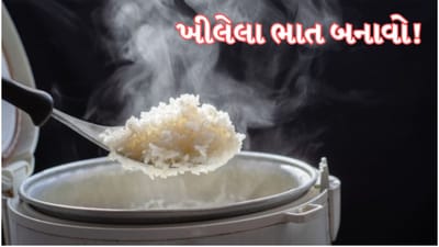 Perfect Rice in Cooker : હોટલ જેવા ખીલેલા બનશે ભાત, બસ ફોલો કરો આ 6 સરળ ટિપ્સ, દરેક દાણો મોતી જેવો ચમકશે