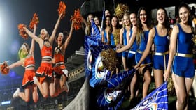 IPL 2026: એક IPL મેચમાં ચીયરલીડર્સ કેટલી કમાણી કરે છે?