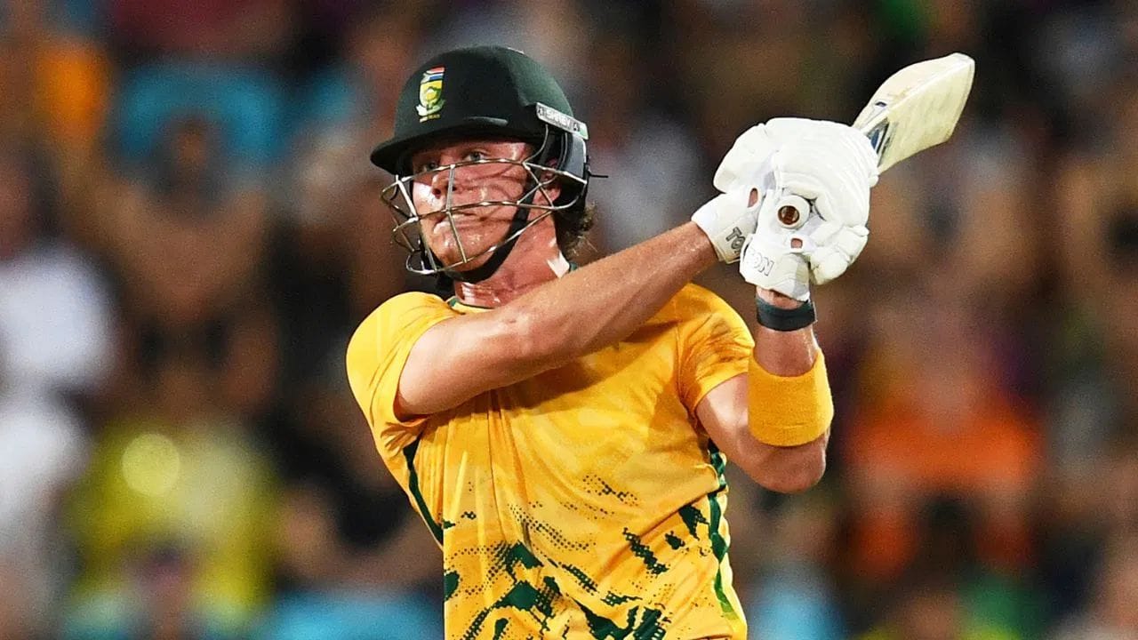 બ્રેવિસ દક્ષિણ આફ્રિકા માટે આંતરરાષ્ટ્રીય ક્રિકેટમાં ત્રણેય ફોર્મેટ રમી રહ્યો છે. અત્યાર સુધી તેણે 4 ટેસ્ટ, 9 વન-ડે અને 30 ટી20 ઇન્ટરનેશનલ મેચ રમી છે. ટેસ્ટની 6 ઇનિંગ્સમાં તેણે 138 રન બનાવ્યા, જ્યારે વન-ડેની 9 ઇનિંગ્સમાં 230 રન કર્યા છે. બાકી ટી20 ઇન્ટરનેશનલની 28 ઇનિંગ્સમાં બ્રેવિસે 26.80 ની સરેરાશ અને 163.23 ના સ્ટ્રાઈક રેટથી 697 રન બનાવ્યા છે.