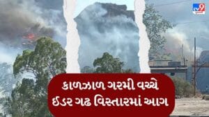 Breaking News : કાળઝાળ ગરમી વચ્ચે ઈડર ગઢ પાસે ડુંગરમાં આગ, સ્થાનિકોએ આગ બુઝાવવાનો કર્યો પ્રયાસ