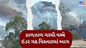 કાળઝાળ ગરમી વચ્ચે ઈડર ગઢ પાસે ડુંગરમાં આગ