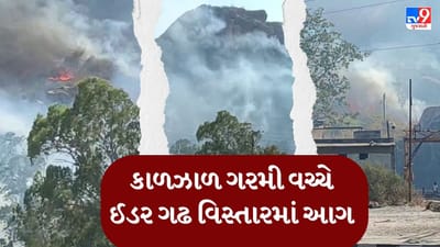 Breaking News : કાળઝાળ ગરમી વચ્ચે ઈડર ગઢ પાસે ડુંગરમાં આગ, સ્થાનિકોએ આગ બુઝાવવાનો કર્યો પ્રયાસ