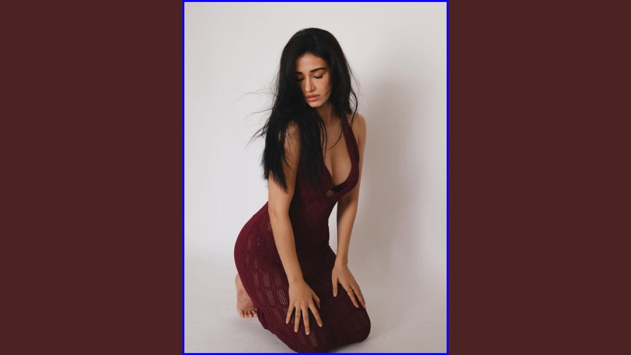 આમાં દિશા મરૂન કલરના હાઈ સ્લિટ ડ્રેસમાં જોવા મળી છે. આ ડ્રેસમાં તે ખૂબ જ ગ્લેમરસ અને હોટ લાગી રહી છે. દિશાના આ નવા ફોટોશૂટની તસવીરો સોશિયલ મીડિયા પર ઝડપથી વાયરલ થઈ રહી છે. તેના ચાહકો આ તસવીરો પર લાઈક્સ અને કોમેન્ટ્સનો વરસાદ કરી રહ્યા છે. ઘણા ચાહકો તેને "બોલિવૂડની સૌથી હોટ અભિનેત્રી" કહી રહ્યા છે.