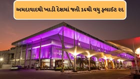 24 કલાકમાં અમદાવાદ આવતી -જતી 29 ફ્લાઇટ રદ