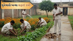 નિર્લિપ્ત રાયની કડક ચેતવણીની અસર, ગુનેગારોએ કરી સફાઈ