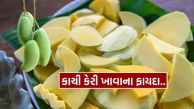 કાચી કેરી ખાવાથી શરીરને શું ફાયદા થાય ? જાણી લો