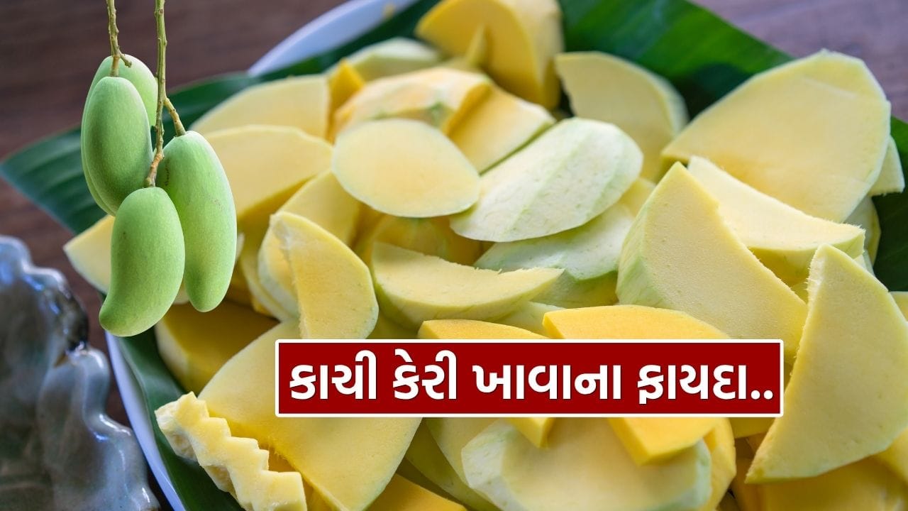 ઉનાળાની સીઝનમાં મળતા ફળો માત્ર તાજગી જ નથી આપતા, પરંતુ શરીરને જરૂરી પાણી અને પોષણ પણ પૂરૂં પાડે છે. કેન્ટાલૂપ, લીચી અને તરબૂચ જેવા ફળો પોતાની ખાસિયતો માટે જાણીતા છે, પરંતુ કેરીને ફળોનો રાજા કહેવાય છે અને તેનું સ્થાન અનોખું છે.