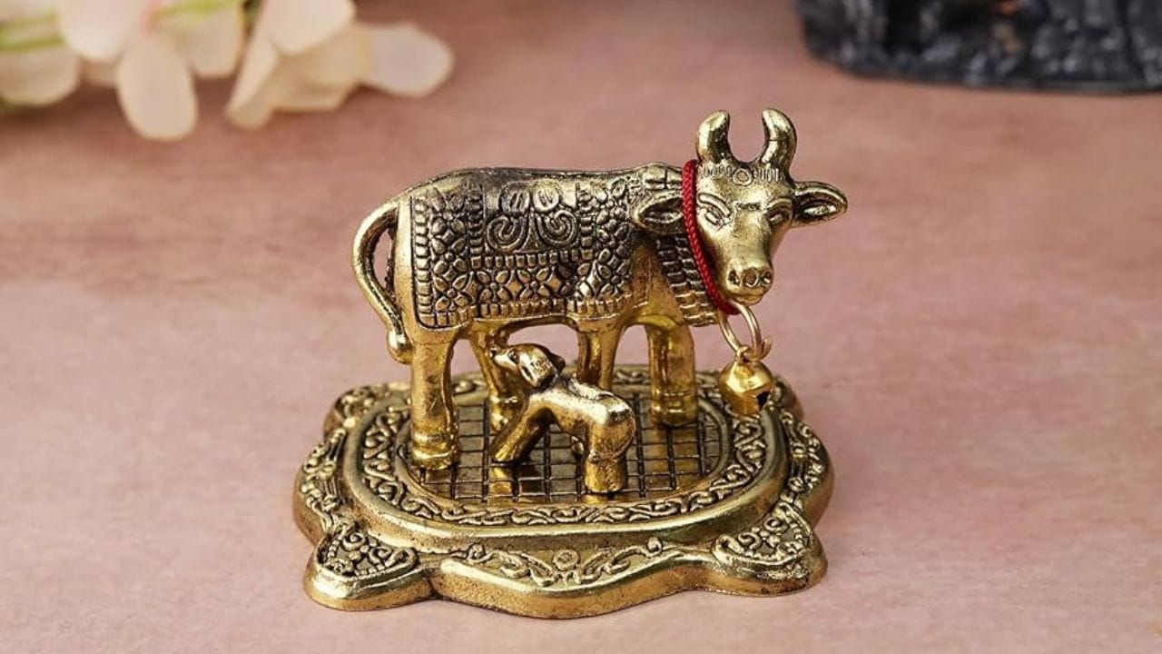 જોકે, ઘરમાં ગાયની મૂર્તિ મૂકતા પહેલા, યોગ્ય દિશાનો વિચાર કરવો જરૂરી છે. ચાલો જ્યોતિષ અને વાસ્તુ નિષ્ણાત ડૉ. મધુ પ્રિયા પાસેથી જાણીએ કે ઘરમાં ગાયની મૂર્તિ મૂકવાના વાસ્તુ નિયમો શું છે.
