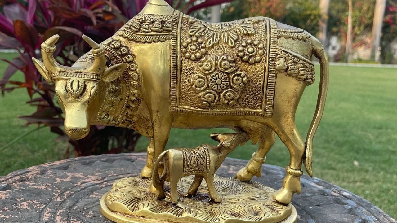 વાસ્તુ અનુસાર તમે ડ્રોઇંગ રૂમમાં ગાયની મૂર્તિ પણ મૂકી શકો છો. આનાથી સકારાત્મક વાતાવરણ બને છે અને તે દંપતી માટે પણ શુભ માનવામાં આવે છે. તેથી, પરિણીત યુગલોએ ચોક્કસપણે તેમના ઘરમાં ગાયની મૂર્તિ રાખવી જોઈએ. આનાથી પરસ્પર પ્રેમ વધે છે અને લગ્ન જીવનમાં મધુરતા જળવાઈ રહે છે.
