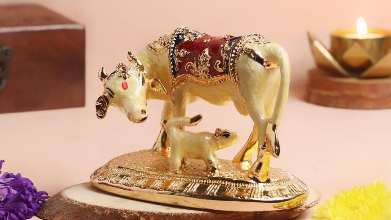 દક્ષિણપૂર્વ દિશા શુક્ર ગ્રહ સાથે સંકળાયેલી છે. તેથી  આ સ્થાન પર પિત્તળની ગાયની મૂર્તિ મૂકવાથી ઘરમાં સુખ, સમૃદ્ધિ અને શાંતિ જળવાઈ રહે છે.
