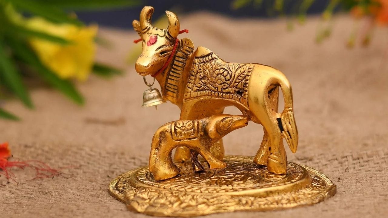 વાસ્તુ શાસ્ત્ર અનુસાર ઘરમાં કામધેનુ ગાયની મૂર્તિ યોગ્ય દિશામાં રાખવી ખૂબ જ મહત્વપૂર્ણ છે. તેને ખોટી જગ્યાએ રાખવાથી પ્રતિકૂળ પરિણામો આવી શકે છે. કામધેનુ ગાયને દેવી લક્ષ્મીનું પ્રતીક માનવામાં આવે છે. વાસ્તુ અનુસાર તેને દક્ષિણપૂર્વ દિશામાં રાખવી શ્રેષ્ઠ માનવામાં આવે છે.
