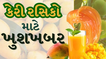 8 દિવસ વહેલા આવી કેરી ! ગોંડલયાર્ડમાં 200 બોક્સ કેરીની આવક