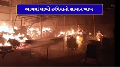 Breaking News : ખેડાના પીઠાઈ ગામની પ્લાયવુડ કંપનીમાં ભીષણ આગ, લાખો રુપિયાનું નુકસાન