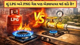 શું LPG અને PNG ગેસની પણ હોય છે એક્સપાયરી ડેટ? કેવી રીતે તપાસવું જાણો