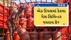 LPG Cylinder Crisis : ભારતમાં દરરોજ કેટલા લાખ સિલિન્ડરનો ઉપયોગ થાય છે?