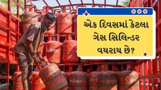 LPG Cylinder Crisis : ભારતમાં દરરોજ કેટલા લાખ સિલિન્ડરનો ઉપયોગ થાય છે? જાણો જહાજમાં આવેલો LPG જથ્થો પુરતો રહેશે?