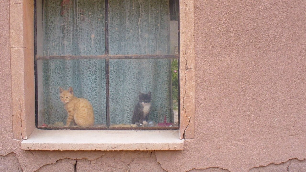 સિક્યોરીટી ડિપોઝીટની વાત કરીએ તો. જો ભાડુઆતની લાપરવાહીના કારણે કોઈ નુકસાન થયું છે. તો મકાન માલિક ઘર ખાલી કરતી વખતે સિક્યોરિટી ડિપોઝીટમાંથી પૈસા કાપી શકે છે. પરંતુ નોર્મલ સમારકામ માટે પૈસા કાપી શકતા નથી.