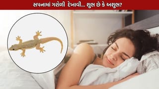 સપનામાં ગરોળી  દેખાવી એ  શુભ છે કે અશુભ? સ્વપ્નશાસ્ત્ર અનુસાર આવુ સપનું કઈ વાતનો આપે છે સંકેત- વાંચો