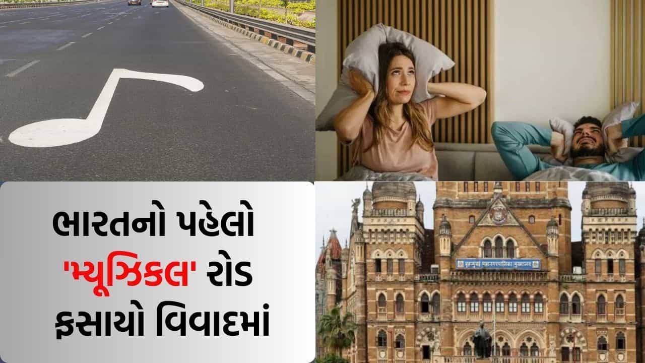 ભારતના પહેલા મ્યૂઝિકલ રોડ સામે 650 પરિવારે કરી ફરિયાદ, જાણો સમગ્ર મામલો