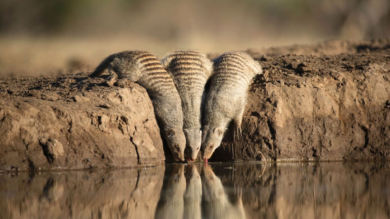 નોંધ: આ સમાચારમાં આપેલી માહિતી રાશિચક્ર, ધર્મ અને શાસ્ત્રોના આધારે જ્યોતિષીઓ અને આચાર્યો સાથે પરામર્શ કર્યા પછી લખવામાં આવી છે. કોઈપણ ઘટના, અકસ્માત, કે નફો કે નુકસાન સંપૂર્ણપણે સંયોગ છે. જ્યોતિષીઓ દ્વારા આપવામાં આવેલી માહિતી જાહેર હિત માટે છે. TV9 ગુજરાતી તેને સમર્થન આપતુ નથી