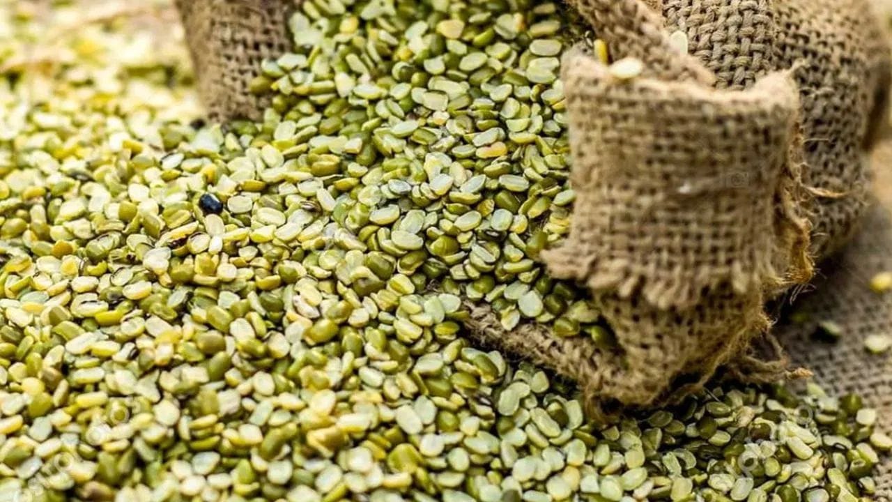 ફોતરા વાળી મગ દાળ: ફોતરાવાળી મગની દાળને 2 થી 4 કલાક પલાળી રાખવાથી પોષણનું વધુ સારી રીતે શોષણ થાય છે.