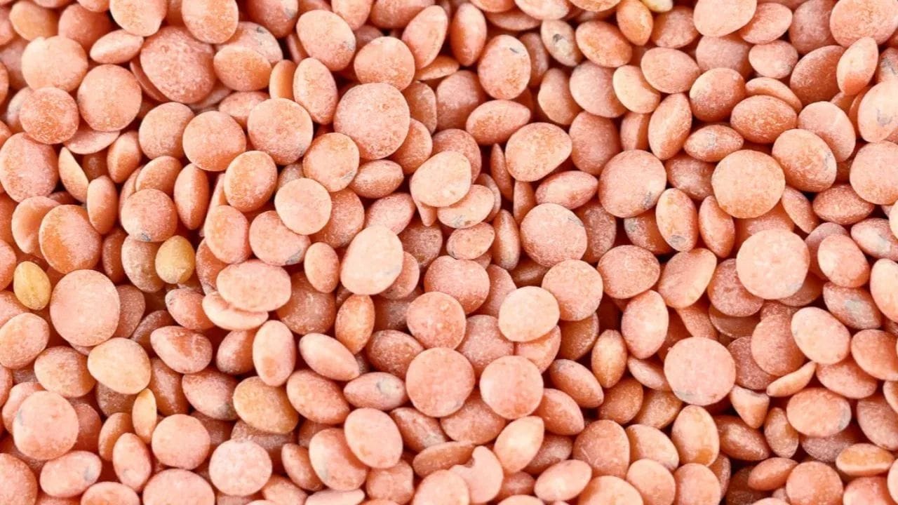 મસૂરની દાળ: જોકે મસૂરની દાળ સામાન્ય રીતે 1 થી 2 સીટીમાં રંધાય જાય છે, છતાં તેને ૧ કલાક સુધી પલાળી રાખવી જોઈએ. આનાથી તે પચવામાં સરળ બને છે.