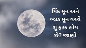 1 એપ્રિલે દેખાશે પિંક મૂન, જાણો બ્લડ મૂનથી શું છે ફરક