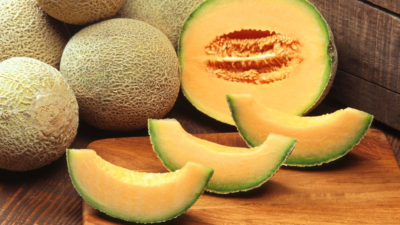 શક્કર ટેટી ફક્ત શરીરને ઠંડુ રાખે છે તેના સાથે શરીરને હાઈડ્રેટેડ પણ રાખે છે. જો કે, ઘણીવાર એવું બને છે કે ટેટી જે બહારથી એકદમ સુંદર અને મીઠી દેખાતી હોય છે તે અંદરથી એકદમ ફીકી અથવા તો મોરી છે. પરિણામે, લોકો ટેટી ખરીદતા પહેલા ઘણીવાર મૂંઝવણ અનુભવે છે, વિચારે છે કે તે ખરેખર મીઠી નીકળશે કે નહીં. પરંતુ હવે તમે આ ટ્રિકથી જાણી શકશો તેની મીઠાશ વિશે. (ફોટો ક્રેડિટ-wikipedia)