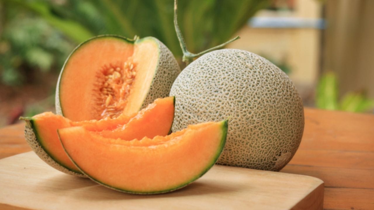 ઉનાળાના મહિનાઓમાં, રસદાર ફળો શરીરને કુદરતી ઠંડક પ્રદાન કરે છે. આ તાજગી આપનારા, રસદાર ફળોમાં ટેટી પણ અગ્રણી સ્થાન ધરાવે છે.(ફોટો ક્રેડિટ-1mg)