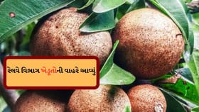 'ચીકુ સ્પેશિયલ ટ્રેન' નવસારીના અંચેલી સ્ટેશનથી દિલ્હી જવાના રવાના થઈ