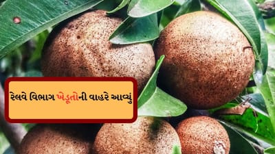 Breaking News : 'ચીકુ સ્પેશિયલ ટ્રેન' નવસારીના અંચેલી સ્ટેશનથી દિલ્હી જવાના રવાના થઈ, જુઓ વીડિયો