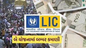 LIC ની નવી બે ખાસ FD યોજનામાં મળશે બમ્પર વ્યાજ