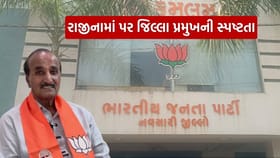 શેરબજારમાં વર્ષના કયા મહિને Nifty માં લાગે છે Bottom? જાણી લો