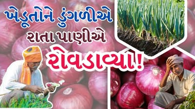 Breaking News : ખેડૂતોને ડુંગળીએ રાતા પાણીએ રોવડાવ્યા! જુઓ Video