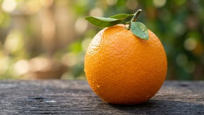 સારા અને મીઠા ફળોની ઓળખ દરેક વ્યક્તિને હોતી નથી. ઘણીવાર લોકો ખાટા અને ખરાબ ફળો પસંદ કરીને લઈ આવે છે. સંતરા ખરીદતી વખતે અવારનવાર મૂંઝવણ થાય છે કે, કયું સંતરું વધારે મીઠું અને રસદાર હશે? કેટલીકવાર સંતરા ખૂબ ખાટા નીકળે છે અને કેટલીકવાર અંદરથી સૂકા હોય છે. 