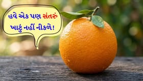 દરેક સંતરું નીકળશે મીઠું અને રસીલું! બસ ખરીદતા પહેલા આટલું ચેક કરો