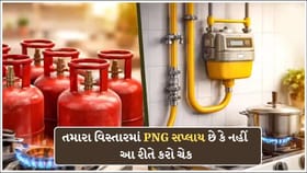 તમારા વિસ્તારમાં PNG લાઈન આવી કે નહીં? માત્ર 2 મિનિટમાં કરો ચેક