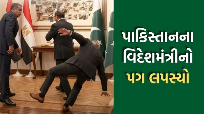 લાલ જાજમ પરથી પગ લપસ્યો અને પાકિસ્તાનના વિદેશ મંત્રી થયા ભોંયભેગા