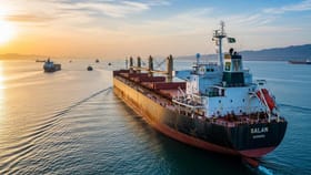 હોર્મુઝ સ્ટ્રેટ પાર કરવા મથતા પાકિસ્તાનના જહાજને ઈરાને હાંકી કાઢ્યું