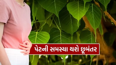 ભારતીય સંસ્કૃતિમાં પીપળાનું વૃક્ષ ખૂબ જ પવિત્ર માનવામાં આવે છે. ધાર્મિક મહત્વ સાથે-સાથે આયુર્વેદમાં પણ તેને ખાસ સ્થાન આપવામાં આવ્યું છે. પીપળાના પાંદડામાં અનેક ઔષધીય ગુણધર્મો જોવા મળે છે, જે શરીરને અંદરથી મજબૂત બનાવવામાં મદદરૂપ માનવામાં આવે છે. ખાસ કરીને પાચન, શ્વસન, ત્વચા અને બ્લડ સુગર જેવી સમસ્યાઓમાં તેના પાંદડાનો ઉપયોગ ફાયદાકારક માનવામાં આવે છે.