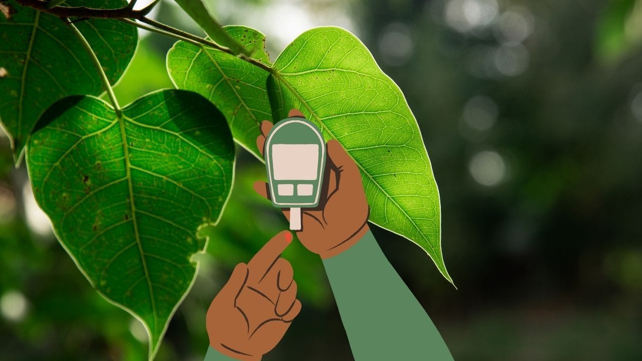 કેટલાક અભ્યાસો મુજબ પીપળાના પાંદડા બ્લડ સુગર લેવલ નિયંત્રિત કરવામાં પણ મદદરૂપ થઈ શકે છે. ડાયાબિટીસ ધરાવતા લોકો માટે પીપળાના પાંદડાનો રસ અથવા કઢો કુદરતી ઉપાય તરીકે ઉપયોગી માનવામાં આવે છે. ઉપરાંત, તેમાં રહેલા પોટેશિયમ અને અન્ય ખનિજ તત્વો બ્લડ પ્રેશરને નિયંત્રિત કરવામાં મદદ કરે છે અને હૃદયના સ્વાસ્થ્યને પણ સારો રાખે છે.