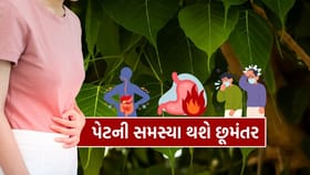 આ ઝાડના પાન ખાવાથી પેટની બધી સમસ્યા થશે છૂમંતર