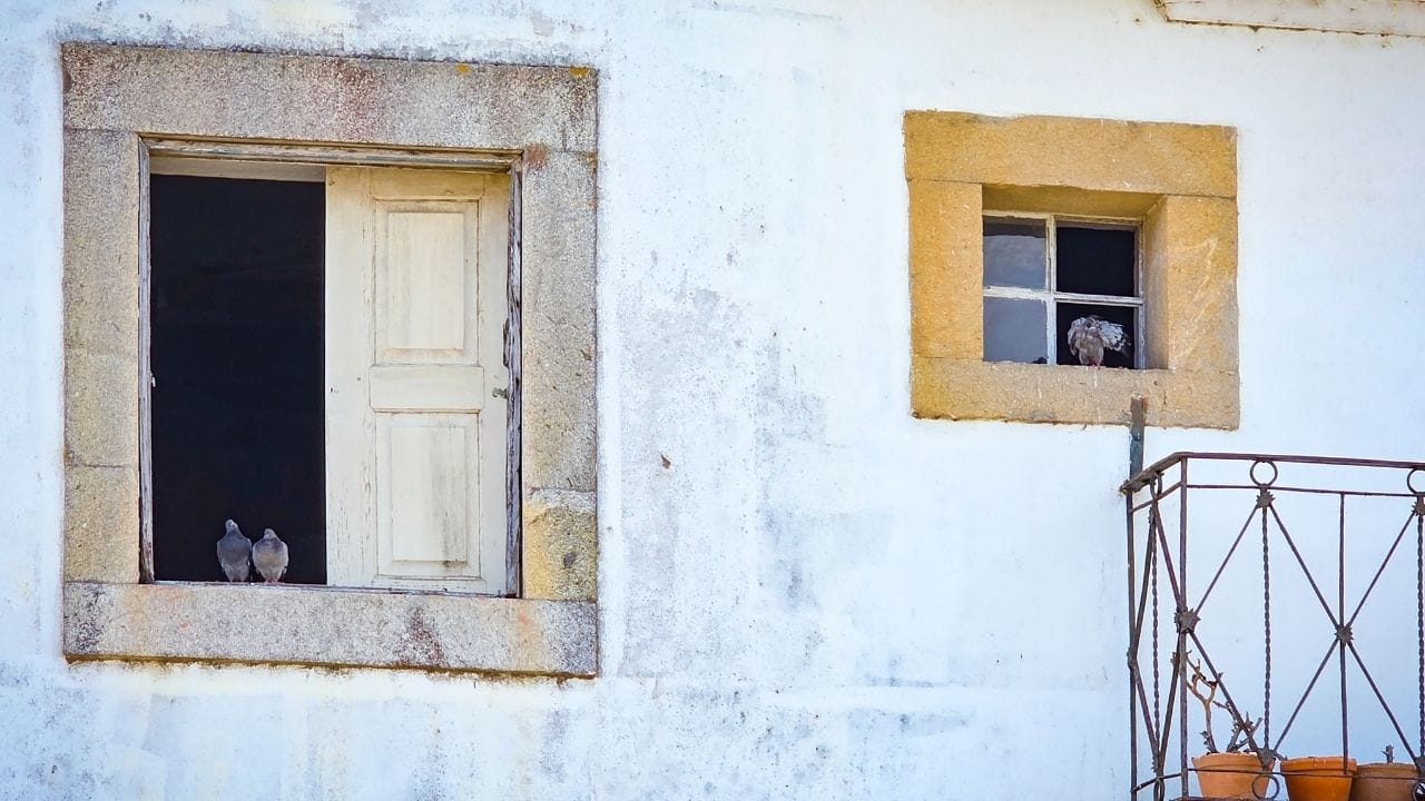 નોંધઃ આ માહિતી સામાન્ય સમજણ અને લેખો પરથી એકત્ર કરીને લખવામાં આવી છે , Tv9 ગુજરાતી અંધશ્રદ્ધાને  સમર્થન કરતુ નથી અને પ્રોત્સાહન આપતું નથી.