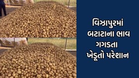 મહેસાણામાં બટાટાના ભાવ ન મળતા ખેડૂતોને રાતા પાણીએ રોવાનો વારો
