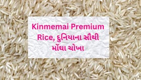 શું તમે જાણો છો વિશ્વના સૌથી મોંઘા ચોખા કયાં, તેની વિશેષતા શું ?