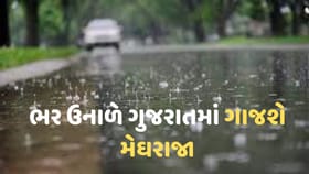 ગુજરાતમાં ભર ઊનાળે ગાજસે વરસાદ, 20 જિલ્લાઓમાં માવઠાનું એલર્ટ