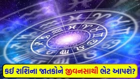 તમારો ઊર્જા સ્તર ઊંચો રહેશે, મિત્રો તમને ટેકો આપશે