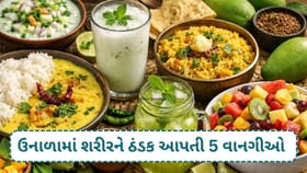 ઉનાળામાં શરીરને ઠંડક આપતી 5 વાનગીઓ વિશે જાણો